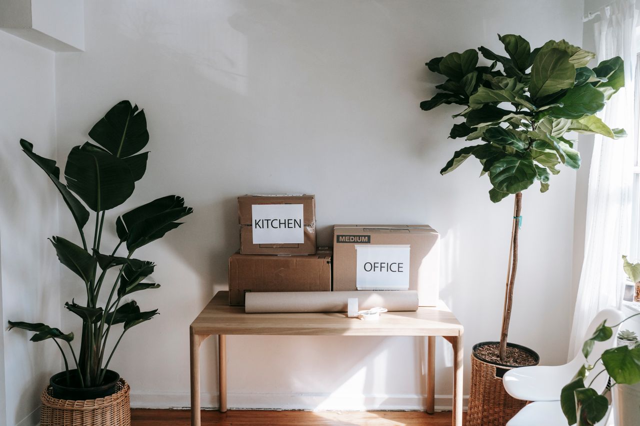 who-we-are Stylish interior with moving boxes labeled Kitchen and Office on a wooden table surrounded by houseplants.